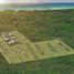  Terreno (Parcela) en venta en Cozumel, Quintana Roo, Cozumel, Quintana Roo