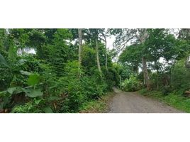  Land for sale in Arraijan, Panama Oeste, Arraijan, Arraijan