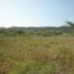  Land for sale in Tubara, Atlantico, Tubara