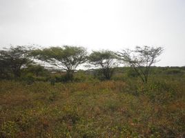  Land for sale in Tubara, Atlantico, Tubara