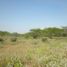  Land for sale in Tubara, Atlantico, Tubara