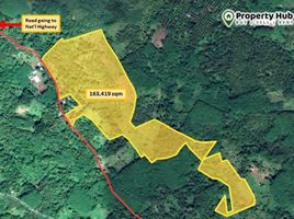  Land for sale in Kinoguitan, Misamis Oriental, Kinoguitan