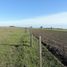  Land for sale in Colon, Entre Rios, Colon