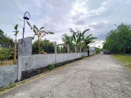  Land for sale in Yogyakarta, Kalasan, Sleman, Yogyakarta