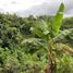  Terreno (Parcela) en venta en Santa Rosa De Cabal, Risaralda, Santa Rosa De Cabal