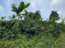  Terreno (Parcela) en venta en Santa Rosa De Cabal, Risaralda, Santa Rosa De Cabal