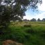  Land for sale in Xaltocan, Tlaxcala, Xaltocan, Tlaxcala