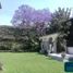 4 Habitación Casa en venta en Alvaro Obregon, Ciudad de México, Alvaro Obregon