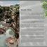 Estudio Apartamento en venta en Cozumel, Quintana Roo, Cozumel, Quintana Roo
