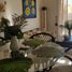 3 Bedroom Apartment for rent in Chicxulub Pueblo, Yucatan, Chicxulub Pueblo