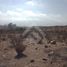  Land for sale in Coquimbo, Coquimbo, Elqui, Coquimbo