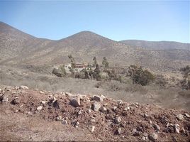  Land for sale in Coquimbo, Coquimbo, Elqui, Coquimbo