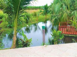  Land for sale in Tlalixcoyan, Veracruz, Tlalixcoyan