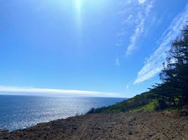  Land for sale in Chile, Zapallar, Petorca, Valparaiso, Chile