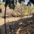  Grundstück zu verkaufen in Temixco, Morelos, Temixco, Morelos