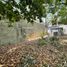  Land for sale in Carmen, Campeche, Carmen