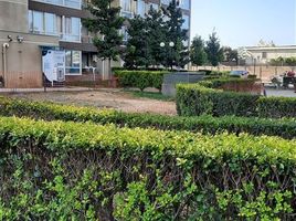 3 Bedroom Condo for sale in Cordillera, Santiago, Pirque, Cordillera