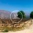  Land for sale in Cafayate, Salta, Cafayate, Salta
