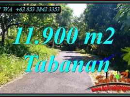  Tanah for sale in Selemadeg, Tabanan, Selemadeg