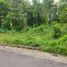 Terreno (Parcela) en venta en Ngaglik, Yogyakarta, Ngaglik
