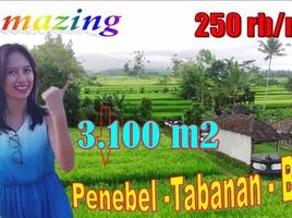  Tanah for sale in Penebel, Tabanan, Penebel