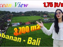  Land for sale in Kerambitan, Tabanan, Kerambitan