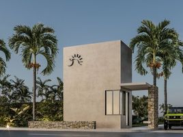  Grundstück zu verkaufen in Conkal, Yucatan, Conkal