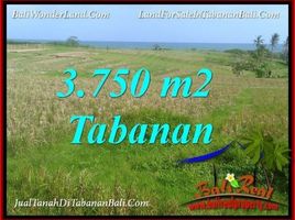  Land for sale in Selemadeg, Tabanan, Selemadeg