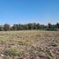  Land for sale in Maipo, Santiago, Buin, Maipo