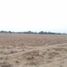  Land for sale in Maipo, Santiago, Buin, Maipo