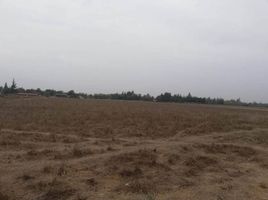  Land for sale in Maipo, Santiago, Buin, Maipo