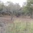  Land for sale in Juarez, Nuevo Leon, Juarez