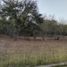  Land for sale in Juarez, Nuevo Leon, Juarez