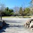  Land for sale in Chile, Santiago, Santiago, Santiago, Chile
