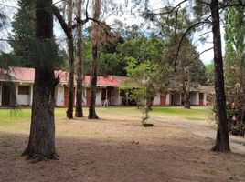 2 Schlafzimmer Haus zu verkaufen in Moron, Buenos Aires, Moron