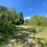  Terreno (Parcela) en venta en Chile, Futrono, Ranco, Los Ríos, Chile