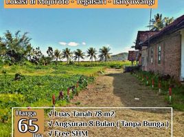  Land for sale in Banyuwangi, East Jawa, Gambiran, Banyuwangi