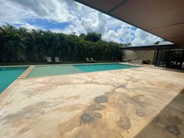  Grundstück zu verkaufen in Conkal, Yucatan, Conkal