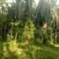  Land for sale in Jerangau, Terengganu, Jerangau, Dungun