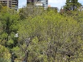 242 平米 Office for rent in 墨西哥, Miguel Hidalgo, Mexico City, 墨西哥