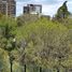 2,605 Sqft Office for rent in Mexico City, Miguel Hidalgo, Mexico City