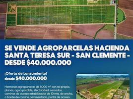  Land for sale in Chile, Yerbas Buenas, Linares, Maule, Chile