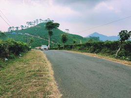  Land for sale in Jawa Tengah, Ngargoyoso, Karanganyar, Jawa Tengah