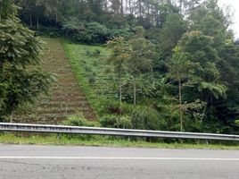  Land for sale in Tawang Mangu, Jawa Tengah, Tawang Mangu