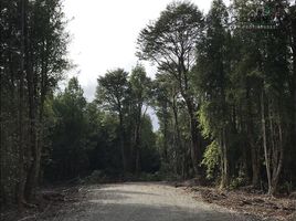  Terreno (Parcela) en venta en Chile, Puerto Montt, Llanquihue, Los Lagos, Chile