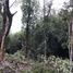  Terreno (Parcela) en venta en Chile, Puerto Montt, Llanquihue, Los Lagos, Chile