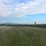  Land for sale in Santa Isabel Cholula, Puebla, Santa Isabel Cholula