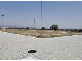  Terreno (Parcela) en venta en San Agustin Tlaxiaca, Hidalgo, San Agustin Tlaxiaca