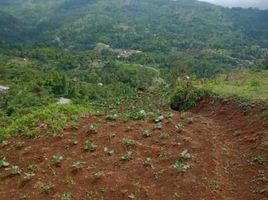  Grundstück zu verkaufen in Sumurbandung, West Jawa, Sumurbandung