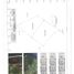  Land for sale in Compostela, Nayarit, Compostela